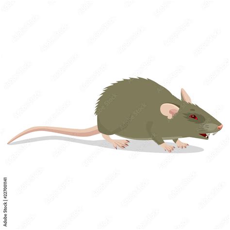 Evil Cartoon Rat Vector Clip Art Illustration Angry Rat Sign Isolated On White Background