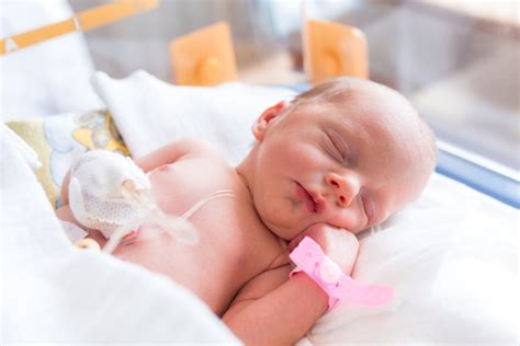 ¿tienes Un Bebé Prematuro 5 Claves Para Potenciar Su Desarrollo