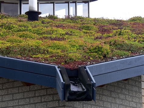Boston Green Blog Guest Post The Benefits Of Living Roofs For Cities