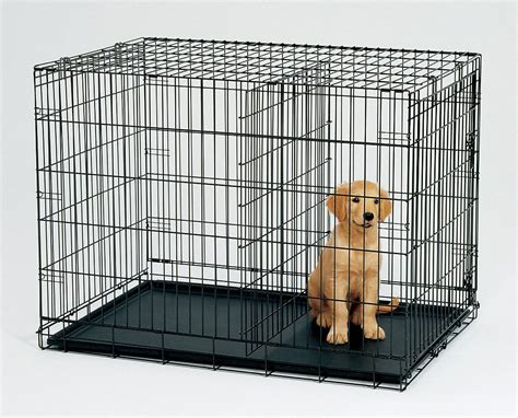 Some feel worried about persuading their puppy to sleep in a crate as they think of it as a. Must-Have Products in your Puppy ToolKit | Australian Dog ...
