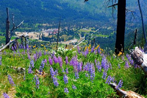9 Easy And Beautiful Spring Hikes Everyone In Washington Will Love