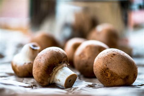 Crimini Mushroom Stock Photos Pictures And Royalty Free Images Istock