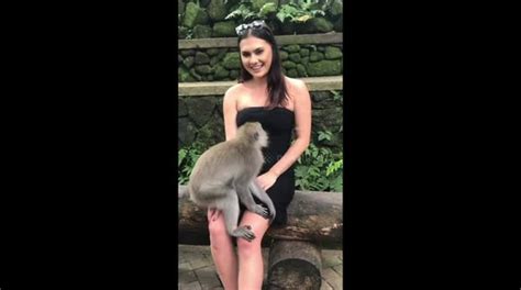Awkward Moment Cheeky Monkey Pulls Down New Zealand Tourist S Top