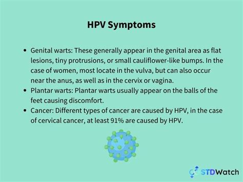 Hpv Everything You Need To Know