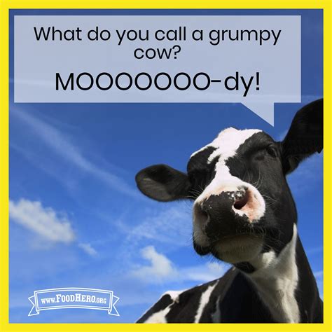 What Do You Call A Grumpy Cow Moooo Dy Cow Joke Food Jokes Oregon