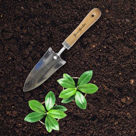 Stainless Steel Transplanter Garden Your Way