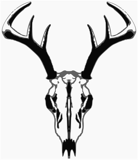 Deer Skull Artwork Clipart Best Clipart Best