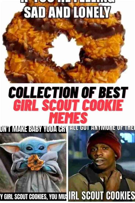 Top 4 Girl Scout Cookie Meme For You Bss News