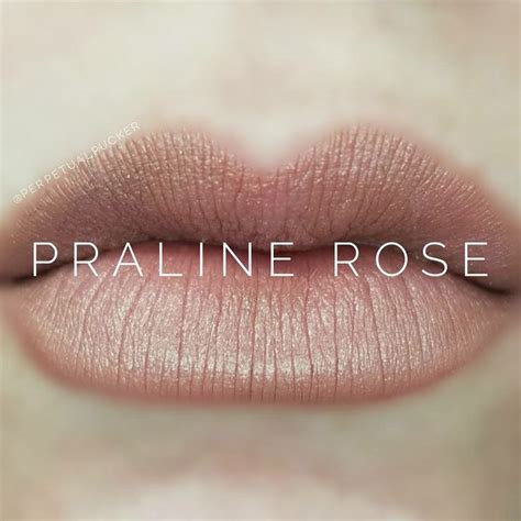 Praline Rose Lipsense Lip Colors Long Lasting Lipstick Lipsense Gloss
