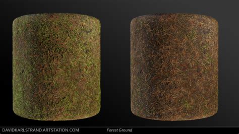 Artstation Procedural Forest Ground Material