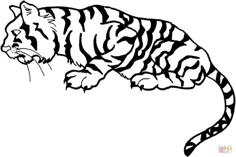 Disegno Di Tigre Sdraiata Da Colorare Disegni Da Colorare E Stampare