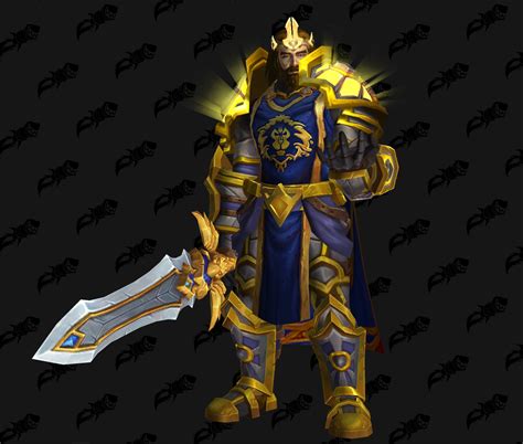 human paladin transmog