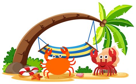 Crab And Hermit Crab On The Beach 447488 Vector Art At Vecteezy