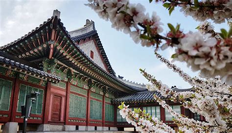 Seoul The Elegant Changdeokgung Palace 창덕궁 And Its Secret Garden