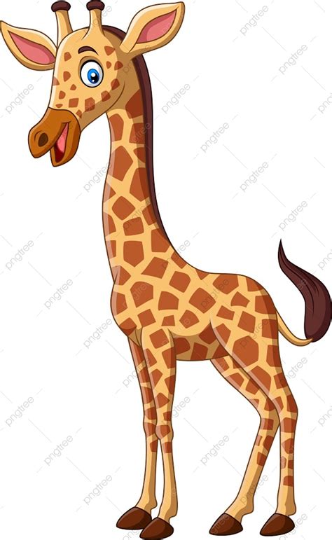 Giraffe Isolated Vector Design Images Cartoon Giraffe Isolated On