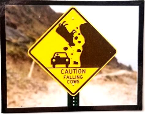 Caution Falling Cows Sign Warning While Driving On Road Be Careful
