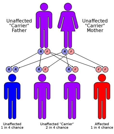 Cystic Fibrosis Cf