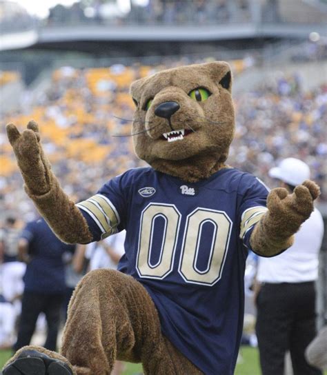 The Life And Times Of Roc The Mascot The Pitt News
