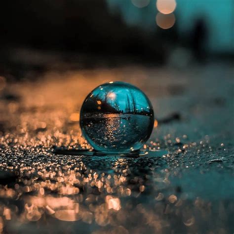 A Worms Eye View Shot Captured After The Rain By Nikomoisas Lensball
