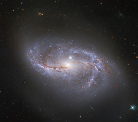 Ngc 4394 es la galaxia espiral barrada arquetípica, con brillantes brazos espirales que emergen de los extremos de una barra que atraviesa el bulbo central de la galaxia. Galaxia espiral barrada NGC 2608, rodeada por muchas ...