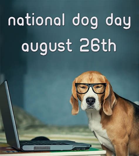 August 26th National Dog Day Hubpages