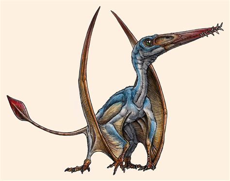 Meet Allkauren Koi Argentinas Newest Flying Reptile Paleontology Sci