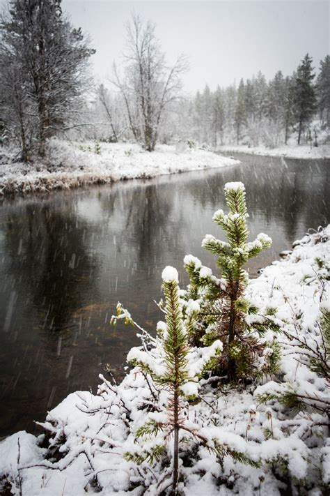 First Snow Of The Season In Finland Arctic Direct