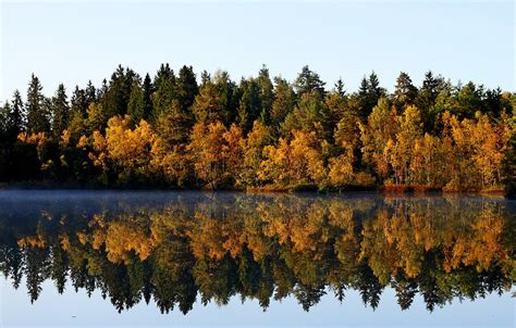 Wallpaper Forest Reflection Trees Lake Autumn September Images For