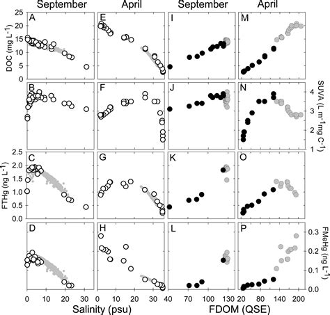 Tidally Driven Export of Dissolved Organic Carbon, Total Mercury, and
