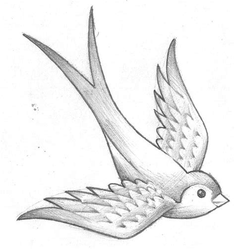 Рисунки птиц карандашом для срисовки 72 фото
