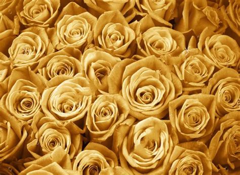Rose Gold Wedding Background