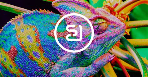 White label cms, previewer, marketing materials and development insights! Skinnable App | Neosperience | Your white label app for ...
