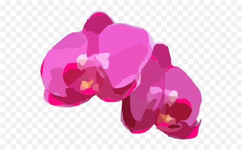Free Pink Orchid Cliparts Download Orchid Png Vector Emojiorchid