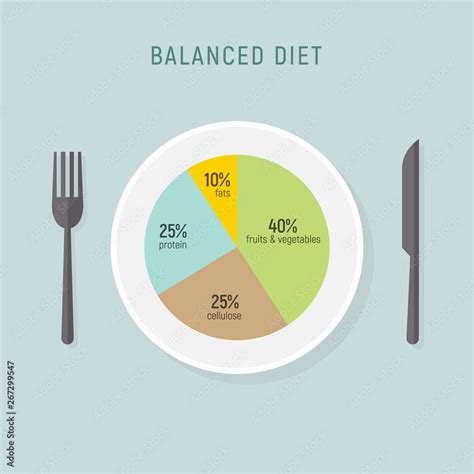 Healthy Diet Food Balance Nutrition Plate Vector Health Meal Chart