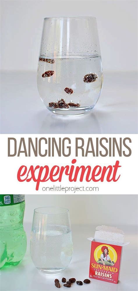 Dancing Raisins Experiment Worksheet Printable Word Searches