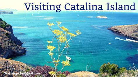 Visiting Catalina Island A Brief Tutorial On The Basics