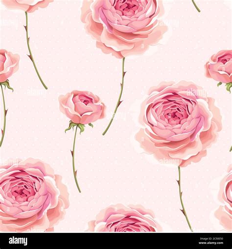 English Roses Seamless Stock Vector Image And Art Alamy