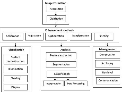 Biomedical Image Processing Modules Download Scientific Diagram