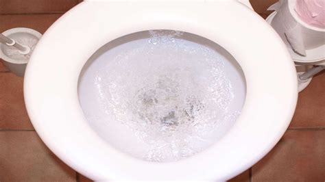 Why Is My Toilet Gurgling Common Drain Problems Causing Toilet Noise