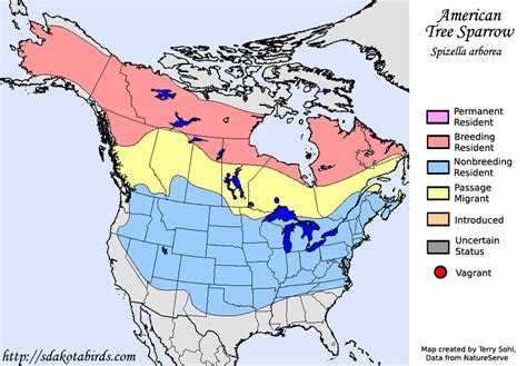 American Tree Sparrow Species Range Map