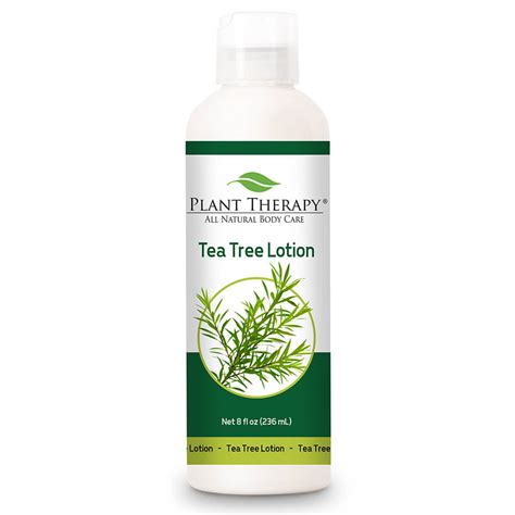 Plant Therapy Tea Tree Melaleuca Lotion 8 Oz Made W Pure Essential