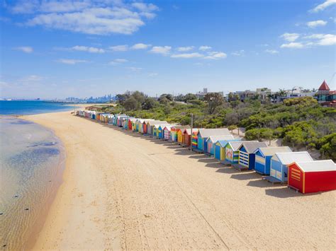 Search hundreds of travel sites at once for lodging in melbourne beach. Shark Brighton Beach Melbourne