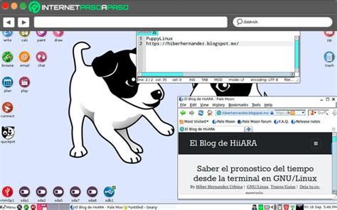 Puppy Linux 】¿qué Es Funciones Y Alternativas 2023