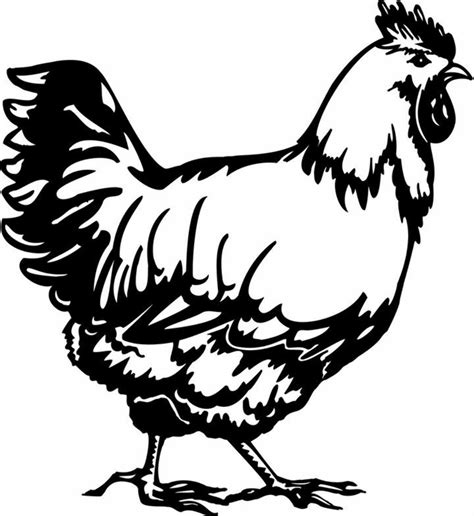 Download High Quality Chicken Clipart Black And White Royalty Free