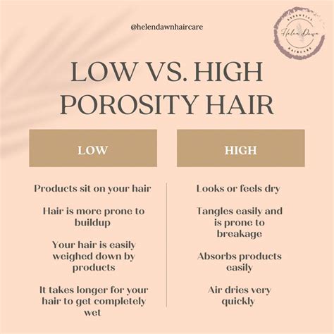 Low Vs High Porosity Hair In 2023 Hair Porosity High Porosity Hair