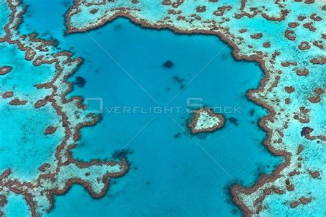 Overflightstock Aerial View Of Hardy Reef Great Barrier Reef