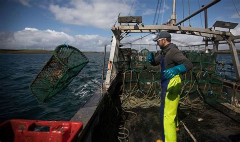 Brexit News French Fisherman Threaten Blockade Over Eu Trade Deal Fishing Rights Uk News