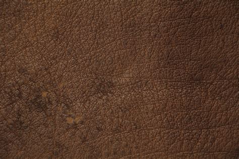 Free photo: Brown Leather Texture - Abstract, Tan, Surface - Free ...