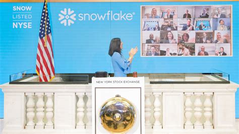 Snowflake Stock More Than Doubles In Ipo Debut The New York Times