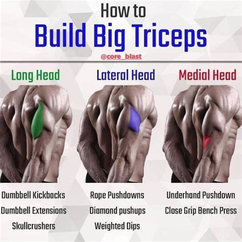10 Of The Best Long Head Tricep Exercises For Powerful Arm Development
